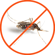  Mosquito fumigation services, Mosquito fumigation companies in Kenya, mosquito fumigators, mosquitoes control